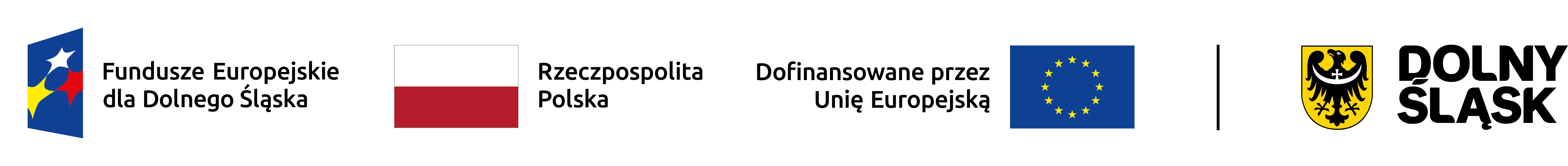 Logo FEDDS poziom kolor