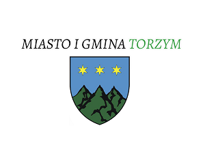 Zdjęcie artykułu Ogłoszenie Burmistrza Miasta i Gminy Torzym o naborze na wolne stanowisko urzędnicze